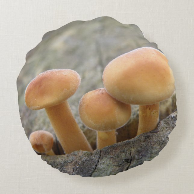 Tabourets sur un Coussin de tronc d'arbre (Dos)