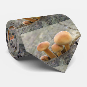 Tabourets sur une Cravate d'arbre