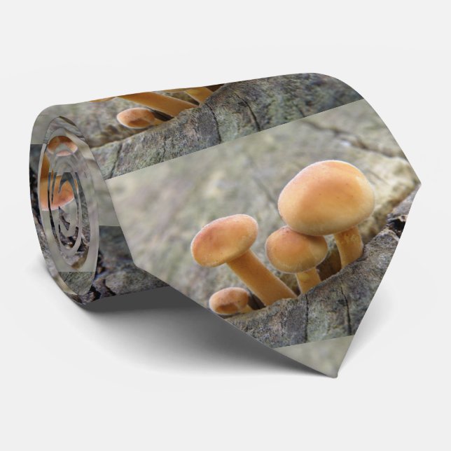 Tabourets sur une Cravate d'arbre (Roulé)