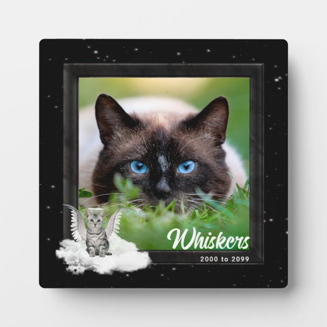Tabulatorunterschrift für Katzen Silber Streifen F Fotoplatte (Vorderseite)