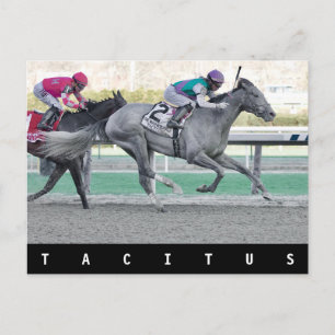 Tacitus gewinnt die Wood Memorial Stakes Postkarte