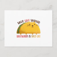 Taco Katze rückwärts geschrieben ist Taco Katze
