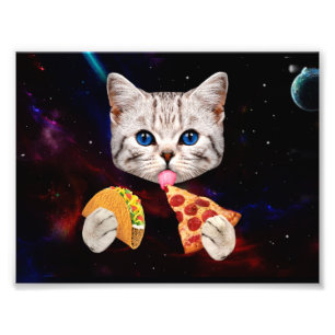 Taco, Katze und Pizza Fotodruck