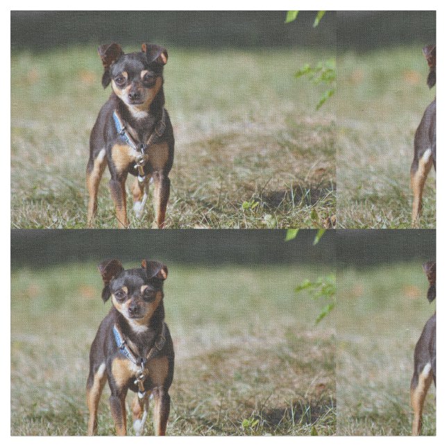 Taco Stoff (Nahaufnahme)