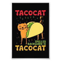 Tacocat hat sich zurückgeschlagen Tacos Cats Cinco