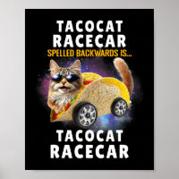 Tacocat Racecar schrieb rückwärts, sonnige mexikan