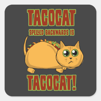 Tacocat rückwärts geschrieben ist ... quadratischer aufkleber