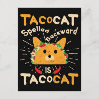 Tacocat Spelled Backwards Cinco de Mayo Cat Taco