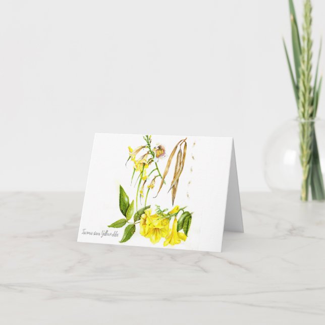 Tacoma stans 'Gelbälle' Dankeskarte (Vorderseite)