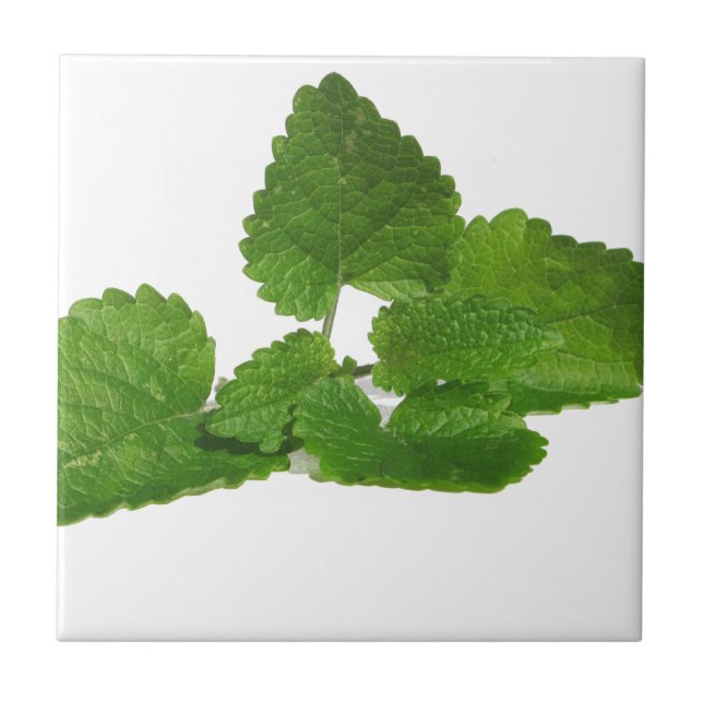 Tadelloses Blatt Fliese (Vorderseite)