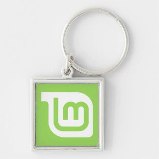 Tadelloses Logo-Schlüsselkette Linuxs Schlüsselanhänger