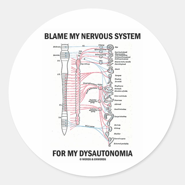 Tadeln Sie mein Nervensystem für mein Dysautonomia Runder Aufkleber (Vorderseite)
