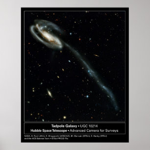 Tadpole Galaxy Hubble Telescope Foto Poster