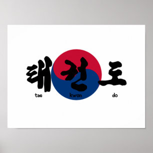 Tae Kwon Do mit Flag Poster