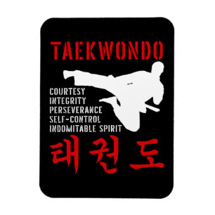 Taekwondo-Grundsätze Flugkick Koreanische Kampfkun Magnet