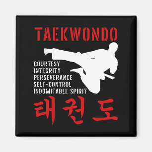 Taekwondo-Grundsätze Flugkick Koreanische Kampfkun Magnet