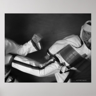 Taekwondo-Match Poster