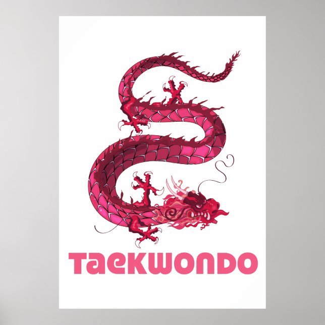 Taekwondo Poster (Vorne)