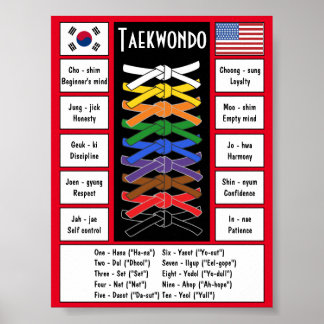 Taekwondo Poster