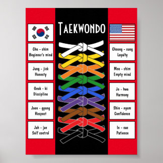 Taekwondo-Poster Poster