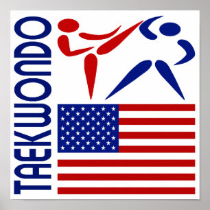 Taekwondo Vereinigte Staaten Poster