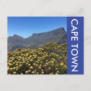 Tafelberg-Blume Postkarte