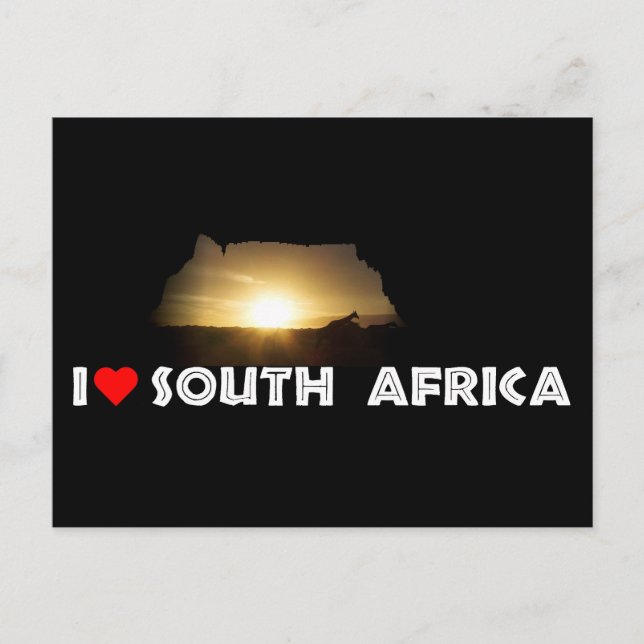 Tafelberg Giraffe Sunset Postkarte (Vorderseite)