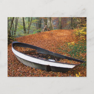Tag 072: Waldboot Postkarte