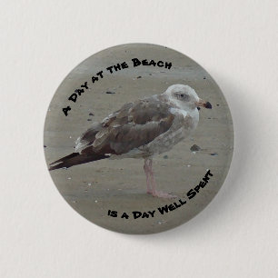 Tag am Strand Seagull Foto Shore Bird Button