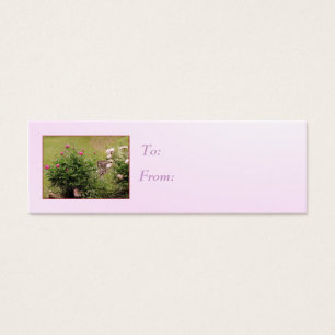 Tag cadeau Rose Garden