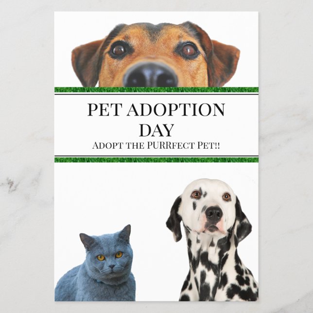 Tag der Adoption Flyer (Vorne)