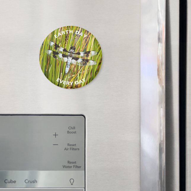 Tag der Erde Magnet (In Situ (Kühlschrank))