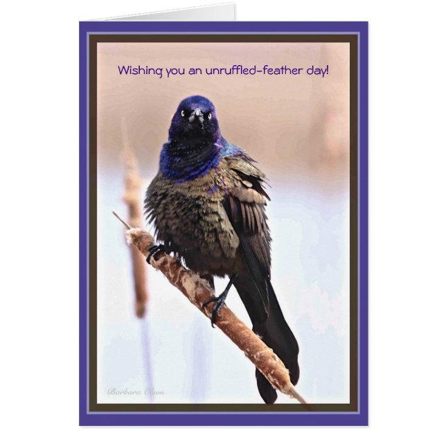 Tag der Unruhestifter (Vorne)