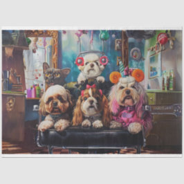 Tag der verwöhnten Paws im Salon Seidenpapier