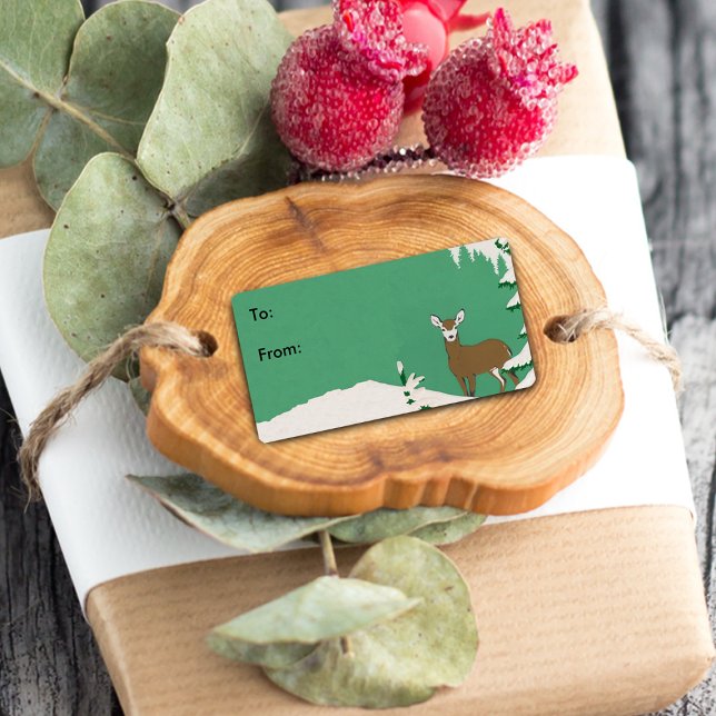 Tag des Geschenkes für Hirschschschnee im Winter Adressaufkleber (Gift tag label / sticker with brown female doe deer in snow on mint green.)