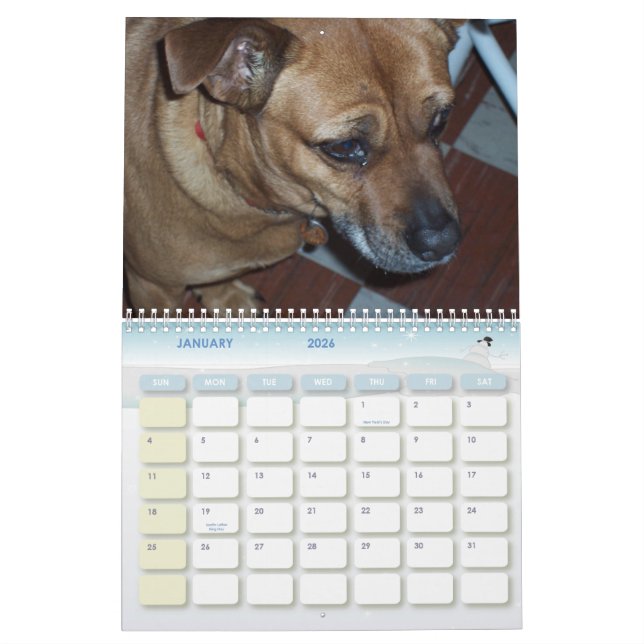 Tage Hunde2010 der China Kalender (Jan 2026)