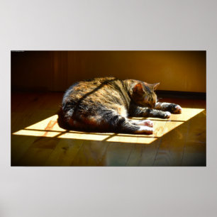 Tage, Poster