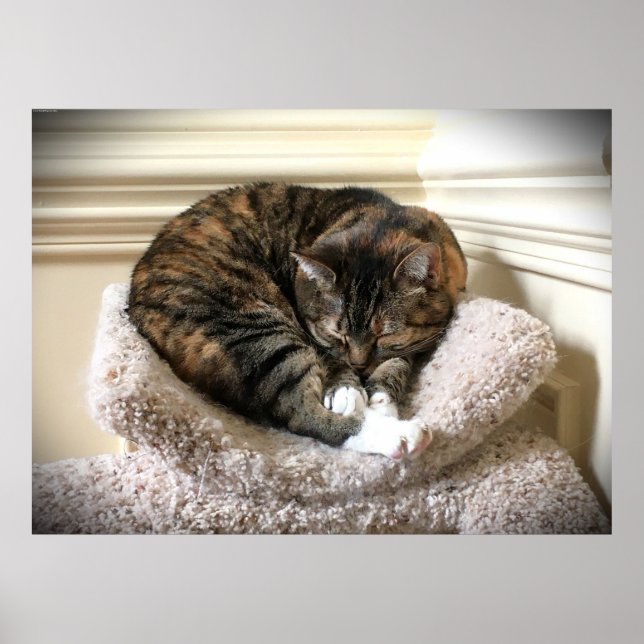 Tage, Poster (Vorne)