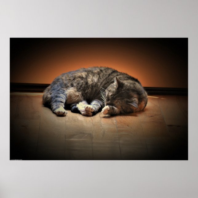 Tage, Poster (Vorne)