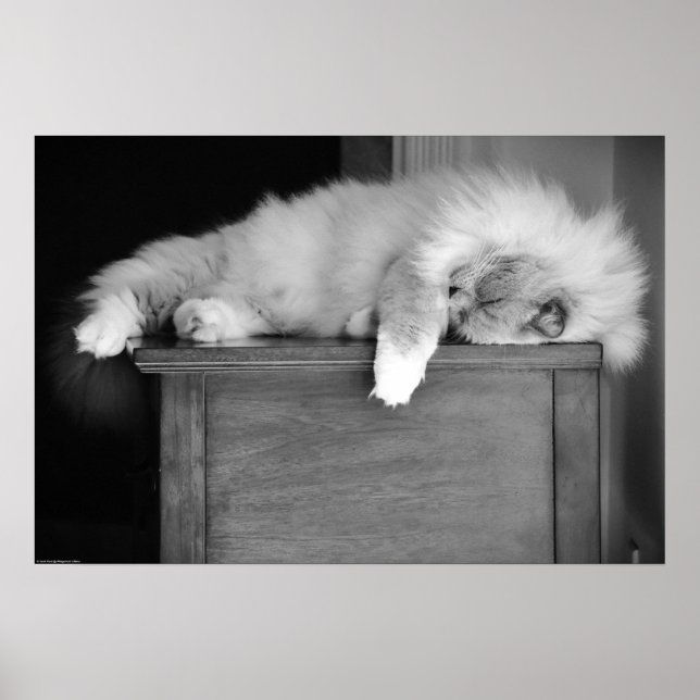 Tage, Poster (Vorne)