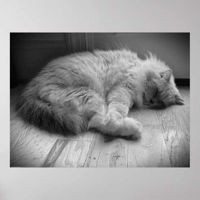 Tage, Poster (Vorne)