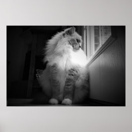 Tage, Poster