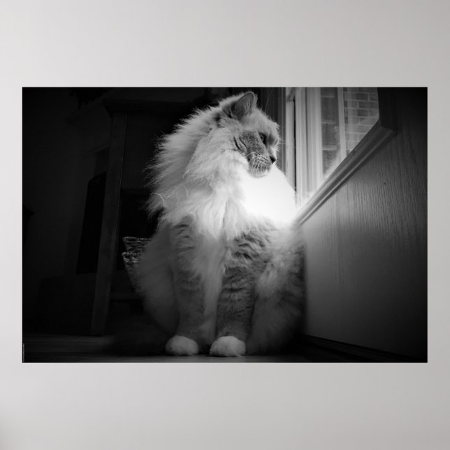 Tage, Poster (Vorne)