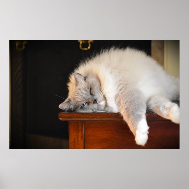 Tage, Poster (Vorne)