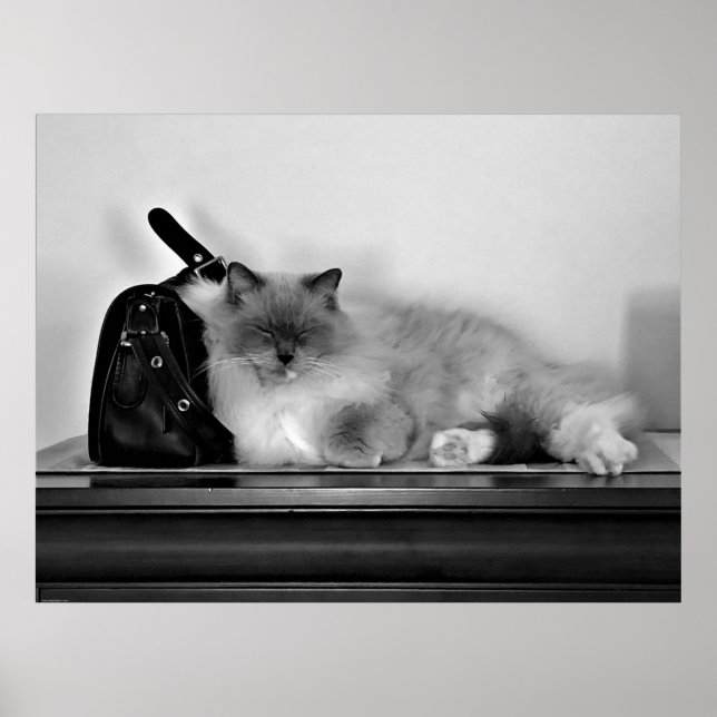 Tage, Poster (Vorne)
