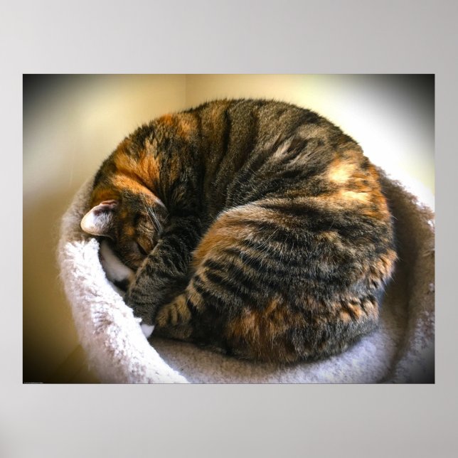 Tage, Poster (Vorne)