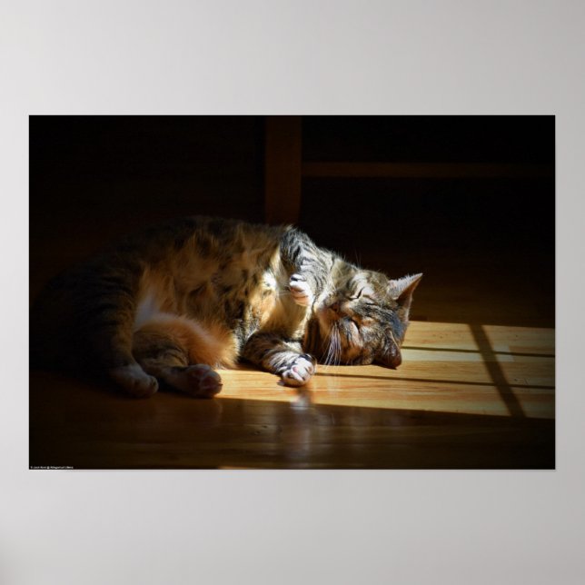 Tage, Poster (Vorne)