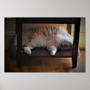 Tage, Poster