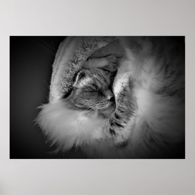 Tage, Poster (Vorne)