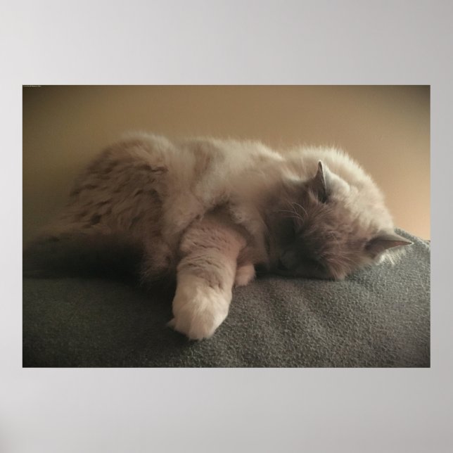 Tage, Poster (Vorne)